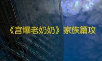 《宫爆老奶奶》家族篇攻略